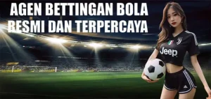 Panca77 Cashback